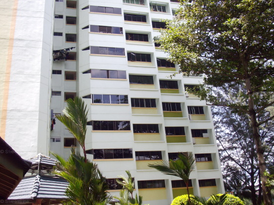Jurong East Street 21 thumbnail photo